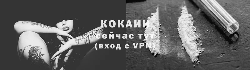 магазин    Красный Кут  Cocaine Колумбийский 